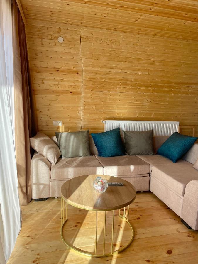 Twin Cottages Kazbegi Exteriör bild